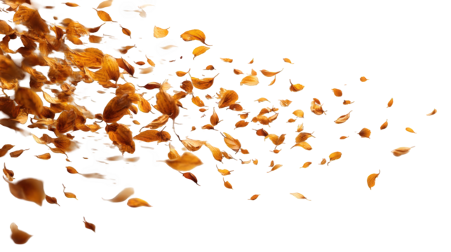 Abstract explosion of golden fragments