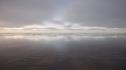 Fototapeta premium Expansive seascape with calm ocean shoreline, gentle waves lapping wet sandy beach,