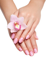 Fototapeta premium Soft pink manicured hands with orchid