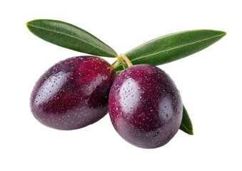 Two dark purple olives with leaves.  Close-up view of ripe, glossy olives with water droplets.  Fresh, healthy, and organic looking