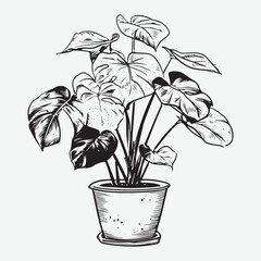 Monstera Plant Simple Design Element Silhouette Graphic, Monstera Plant Minimalist Icon Symbol Vintage Retro Graphic Icon Symbol Isolated Vector Art Design