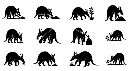 Fototapeta premium Vector art of collection of aardvark icons in various poses, vector illustration
