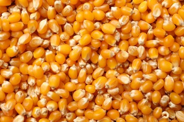 Many golden corn kernels as background, closeup