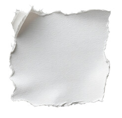 Obraz premium Square of torn white paper, creased edges