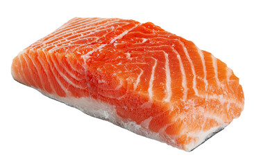 A single, raw salmon fillet, fresh and whole
