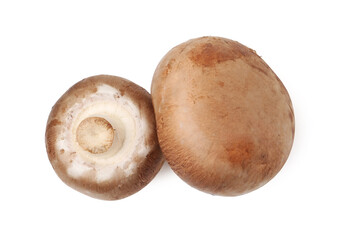 Fresh raw champignon mushrooms isolated on white, top view