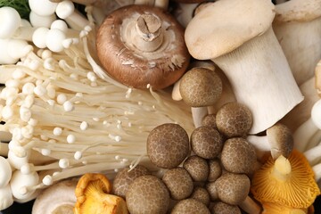 Different raw mushrooms as background, top view