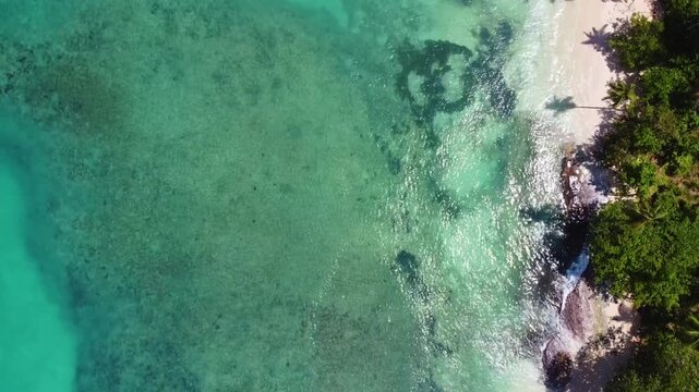 playa colarada samana Republica dominicana