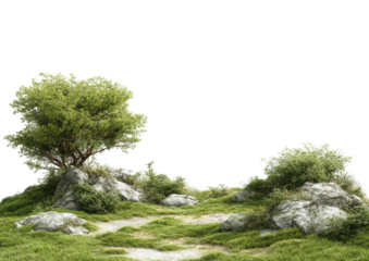 Lush landscape with rocks and trees