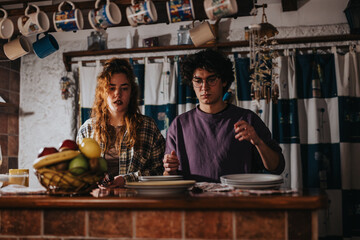 Two friends collaborate in a rustic kitchen preparing dinner plates in a warm setting. Kitchen decor, fruit, and mugs hang around, adding charm to the environment.