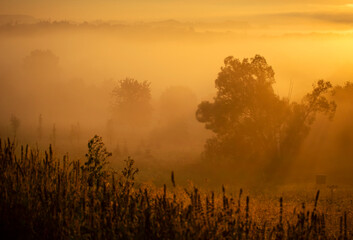 Wrześniowy, mglisty poranek w Beskidach. Wschód słońca. Cieszyn, Polska. © mycatherina