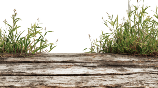 Rustic wooden planks with greenery