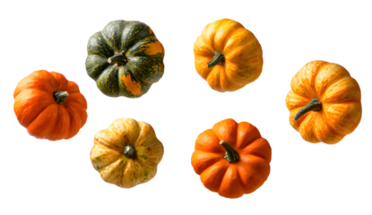 Pumpkin. On a transparent background. Halloween. For designers, marketers. Popular image, illustration, object, holiday, family.
