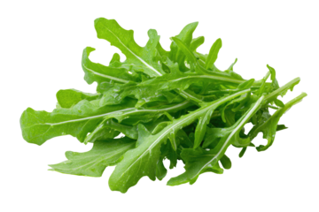 Fresh, vibrant green leaves of arugula