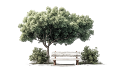 Park bench under a tree.  Tranquil scene