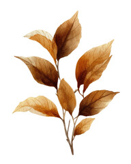 Fototapeta premium Muted brown leaves on stem, delicate design