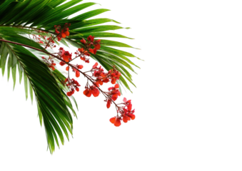 Tropical palm branch with red flowers