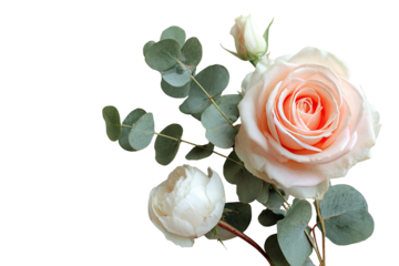 Pastel peach rose and cream peony bouquet, with eucalyptus
