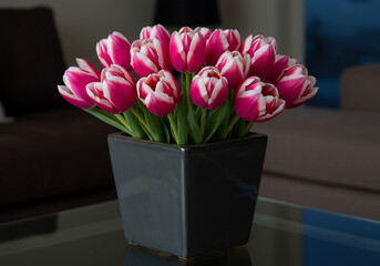 Obraz premium Vibrant pink and white tulips arranged in a square black vase, displayed on a reflective surface indoors.