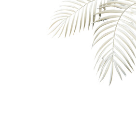 Close-up of two off-white palm fronds against a black background.  The fronds' intricate veining is visible, and tiny colored specks are scattered on the surface