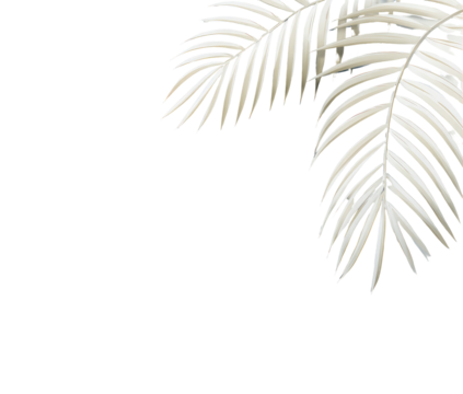 Close-up of two off-white palm fronds against a black background.  The fronds' intricate veining is visible, and tiny colored specks are scattered on the surface