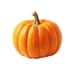 Obraz premium A small, vibrant orange pumpkin, complete with a stem, sits centrally in the image. Its skin is textured with noticeable ribbed ridges. The pumpkin is brightly lit against a pure black backdrop