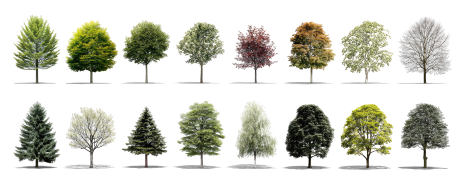 Various tree types, diverse foliage colors