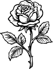 Obraz premium Black and white sketch illustration of a blooming rose with leaves, tattoo design. Vector illustration