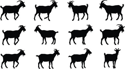 Set of goat silhouette vector illustrations, farm animal black shapes, domestic livestock standing and walking poses, countryside agriculture design for nature, rural themes