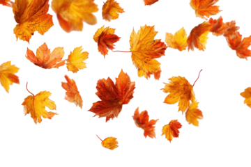 Falling autumn leaves