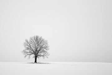 Fototapeta premium WINTER SEASON