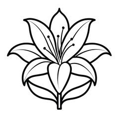 lily flower outline icon
