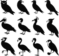 Bird Silhouettes Collection Diverse Species On White Background vector illustration