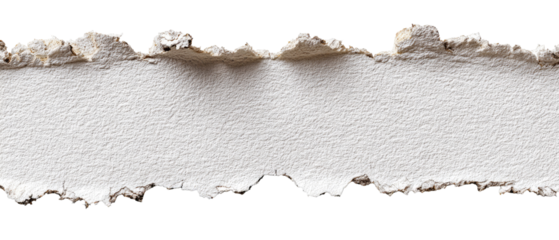 A ripped strip of off-white paper