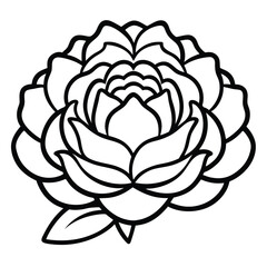 peony flower outline icon.