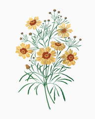 Botanical flower illustration. Detailed watercolor on a soft textured white paper background.
