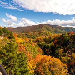 Autumnal vista of colorful mountains