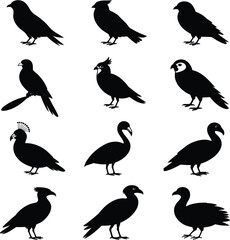 Diverse Bird Silhouettes Collection birds illustration
