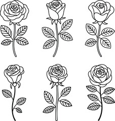 Outline Drawings of Six Roses with Leaves on White Background flower floral