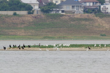 View of the lake island
