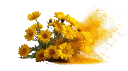 Bouquet of bright yellow flowers