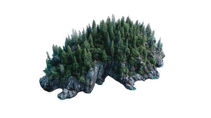 Aerial view of a rocky island, densely forested