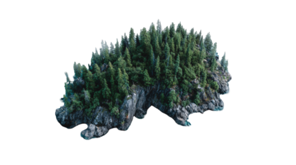 Aerial view of a rocky island, densely forested