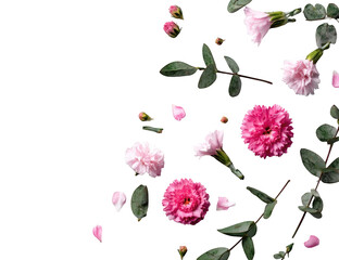 Delicate Pink Flowers on Black Background