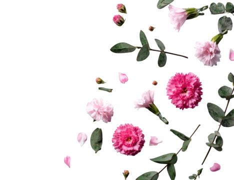 Delicate Pink Flowers on Black Background