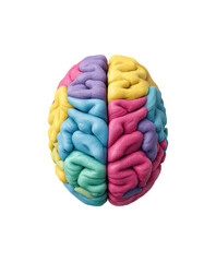 Colorful brain, divided, stylized, illustration