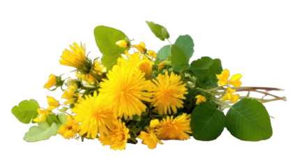Close-up bouquet of bright yellow dandelions and green leaves