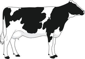 Black and white cow silhouette vector illustration, dairy cattle design, farm animal artwork, agriculture, milk production, livestock, farming, rural lifestyle graphic