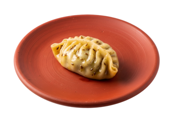 A single, flavorful dumpling sits on a terracotta plate, showcasing its golden-brown crust and subtle spice accents.
