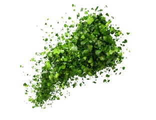 Green plant fragment, abstract burst